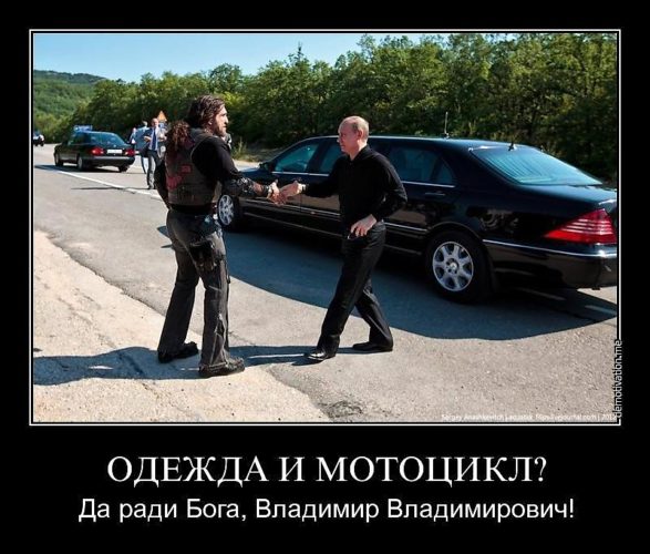 Волки позорные не хочу мем