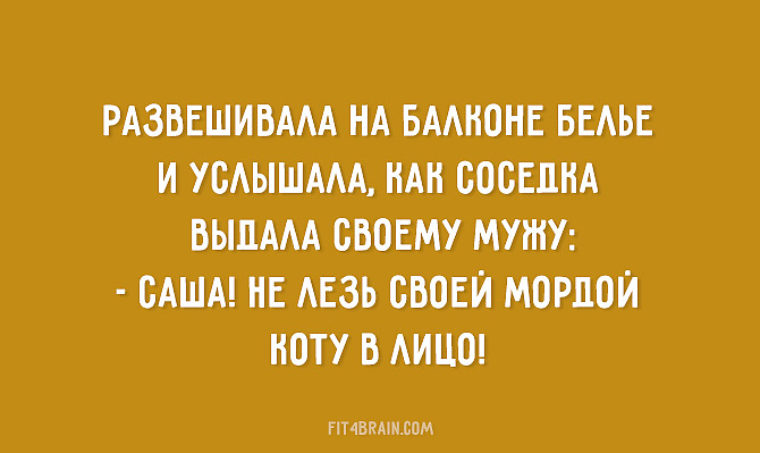 Почитать что нибудь про. Фразы про мужскую логику. Женская логика цитаты прикольные. Афоризмы про женскую логику. Цитаты про логику смешные.