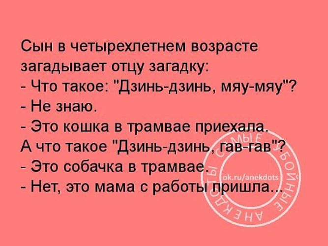 Аверина я загадала папу. Дзинь дзинь мяу мяу анекдот. Дзинь дзинь Гав Гав анекдот. Папа, что такое дзинь, дзинь, мяу, мяу. Сын моего отца загадка.