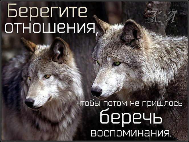 Картинки на телефон с надписями берегите отношения
