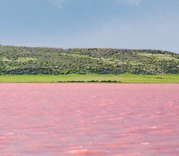 Малиновое озеро фото алтайский край михайловский район