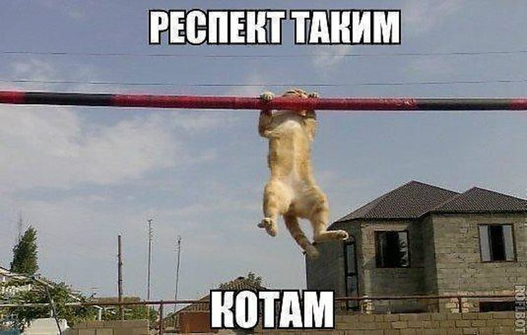 Смешные картинки про турники