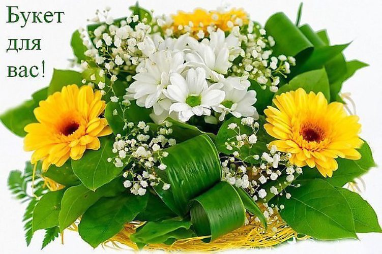 Открытки с днем рождения с хризантемами