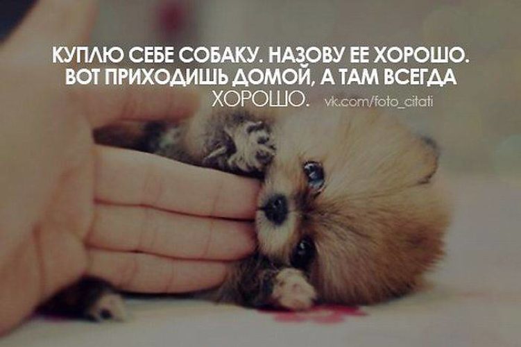 Прикольные статусы картинки в контакте, день лесного работника