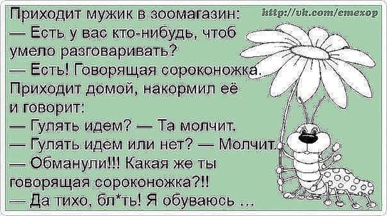 Чтоб чем нибудь. Анекдот про сороконожку. Анекдот про говорящую сороконожку. Прикол про говорящую сороконожку. Анекдот про сороконожку и мужика.