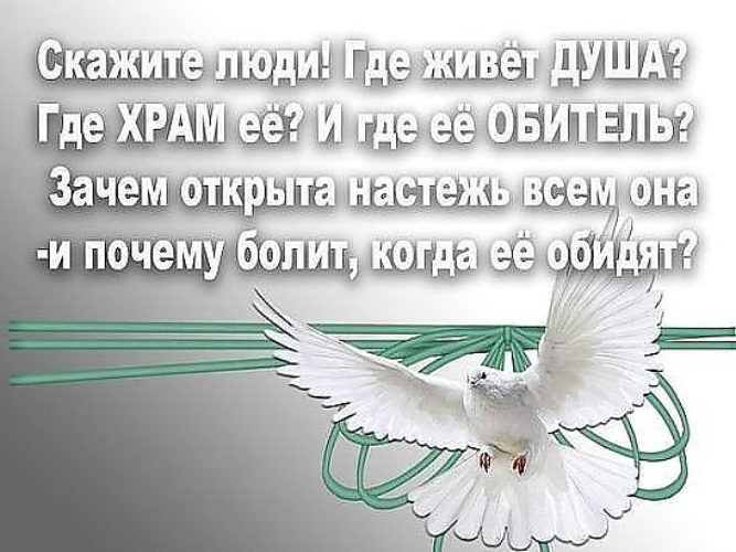 Где обитает ваша душа. Когда болит душа. Когда болит душа картинки. Скажите люди где живет душа. Карантинки когда болит душа.