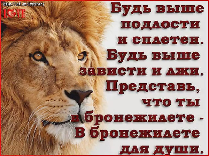 Быть выше. Будь выше. Будь выше цитаты. Стихи будь выше подлости и сплетен. Будь выше зависти и сплетен.