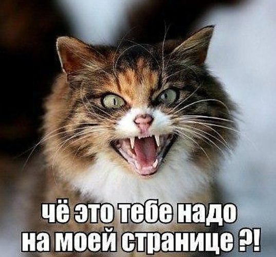 Картинка с надписью чо надо