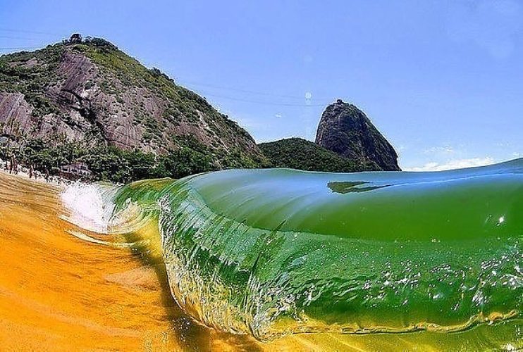 Природа Бразилии Фото
