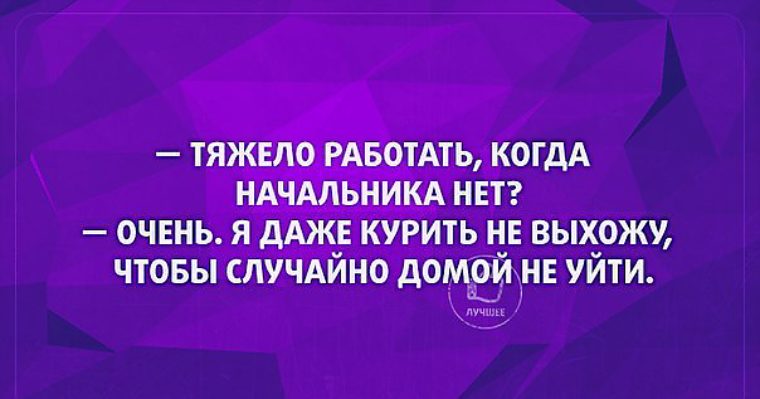 Незаменимые люди есть цитаты. Как сказать начальнику что уходишь. Увольнение сотрудника диалог. Как говорил мой бывший начальник. Как сказать начальнику что уходишь.