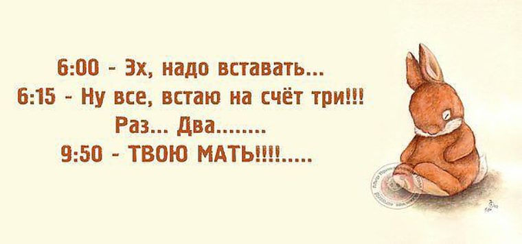 Среда юмор картинки