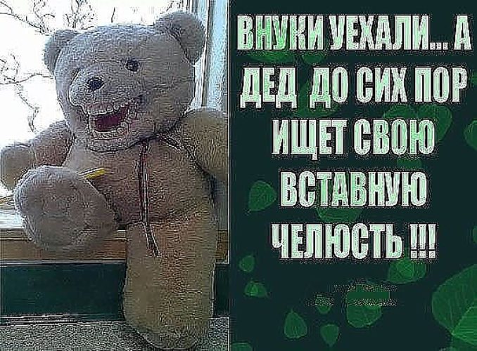 Внуки всегда изумительны картинки