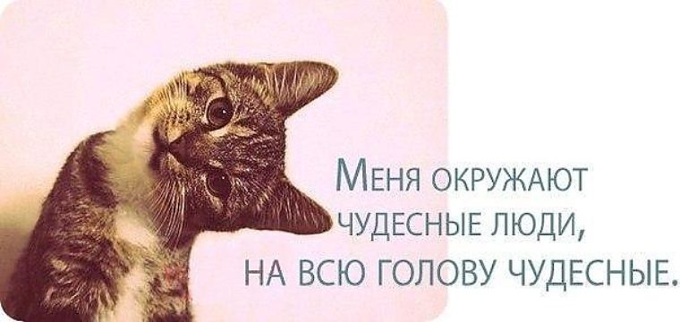 Окружают самые. Меня окружают чудесные люди на всю голову. Меня окружают чудесные люди на всю голову чудесные картинки. Меня окружают самые лучшие люди. Я счастлива меня окружают замечательные люди.