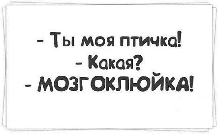 Суть какая. Мозгоклюйка. Птица мозгоклюйка. Птичка ты моя мозгоклюйка. Мозгоклюйка прикол.