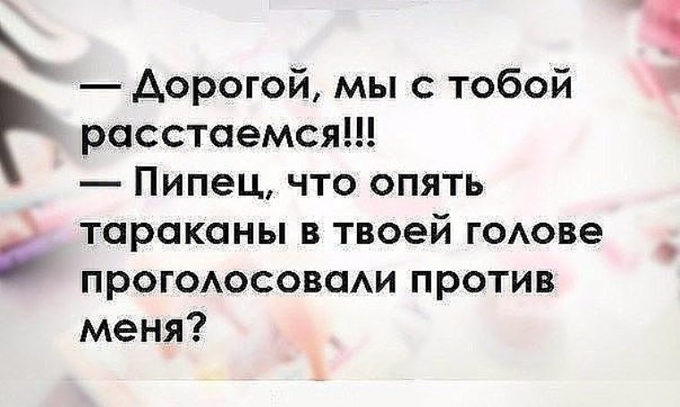 Опять голова. Высказывания о тараканах в голове. Тараканы в голове фразы. Про тараканов в голове цитаты. Цитаты про тараканов в голове женщины.