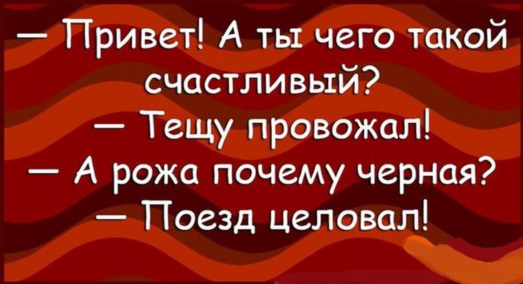 проводила такие довольные. аффирмация на красивые зубы. мемы с надписями. эльвира кушакова. ой ты такая довольная в последнее время.
