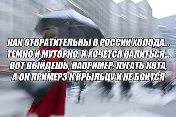 Хочется холодного. Приколы про погоду. Шутки про погоду. Прикол шутка про погоду. Анекдоты про погоду.