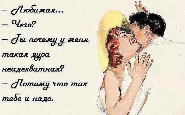Открытка моя жена дура