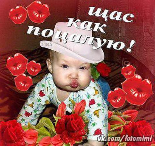 Поздравлением, открытки гифы красавчик