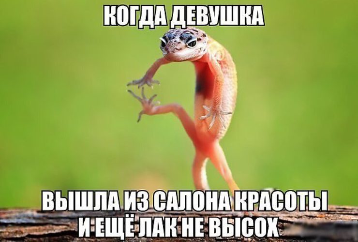 ПРИКОЛЬНЫЕ КАРТИНКИ С НАДПИСЯМИ РЖАЧНЫЕ ДЛЯ ПОДНЯТИЯ НАСТРОЕНИЯ С ДЕВУШКАМИ И ЖЕНЬЩИНАМИ СКАЧАТЬ БЕСПЛАТНО ПРИКОЛЬНЫЕ КАРТИНКИ С НАДПИСЯМИ РЖАЧНЫЕ ДЛЯ ПОДНЯТИЯ НАСТРОЕНИЯ С ДЕВУШКАМИ И ЖЕНЬЩИНАМИ СКАЧАТЬ БЕСПЛАТНО