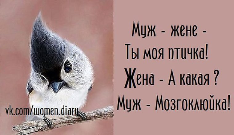 Картинки птичка моя, пасхе своими