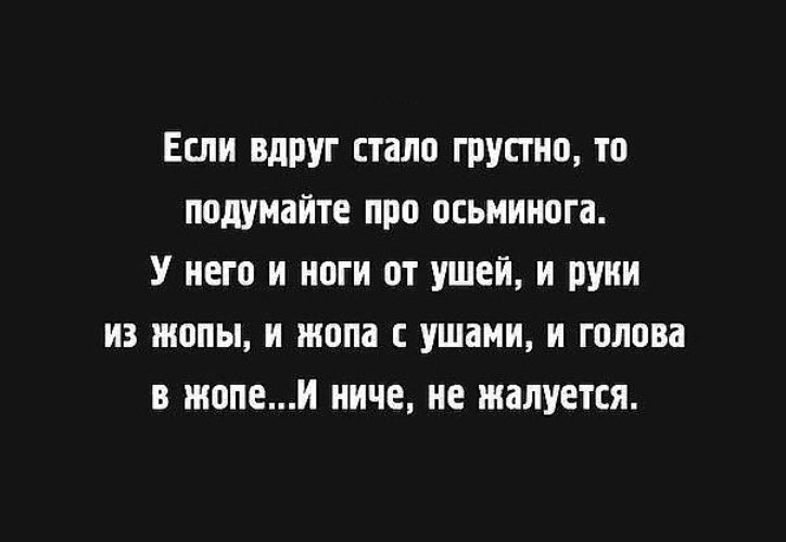 Когда тебе плохо вспомни про осьминога картинка