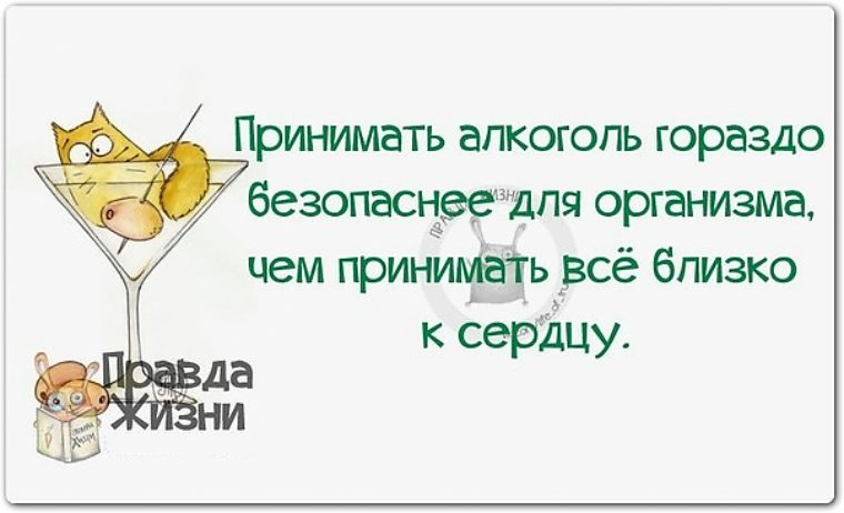 Гораздо. Прикольные фразы для поднятия настроения. Смешные картинки с высказываниями для поднятия настроения. Позитивные слова для поднятия настроения. Смешные фразы для поднятия настроения в картинках.