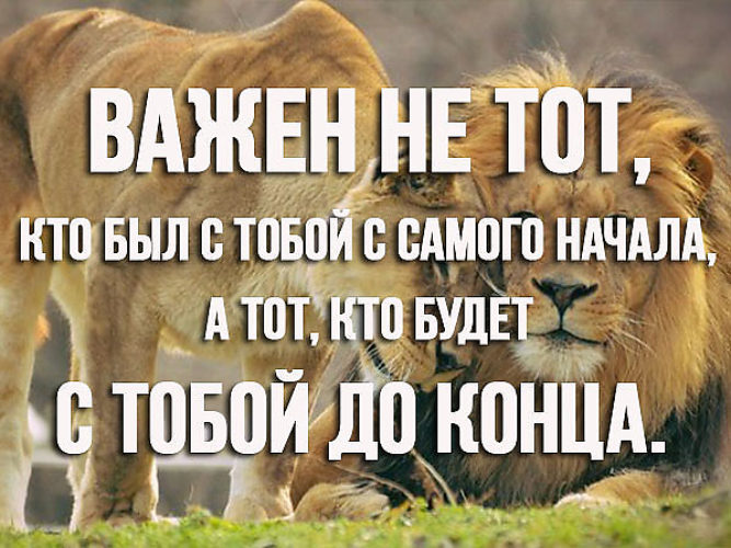 С тобой до конца картинки