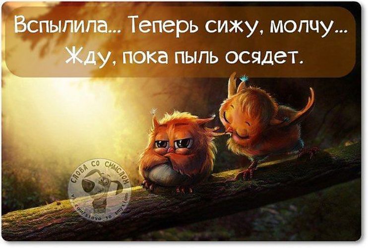 картинки с афоризмами и цитатами о любви смешные такое фото