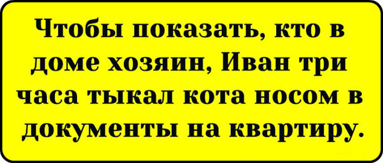 Картинка кто в доме хозяин прикол