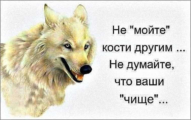 Ваша чисто. Когда не могут переплюнуть стараются. Кто не может переплюнуть стараются оплевать. Картинка кого не могут переплюнуть стараются оплевать. Моют кости цитаты.