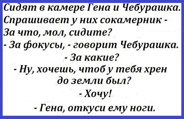 Анекдоты про чебурашку. Анекдоты про Чебурашку и Гену. Анекдот про Гену. Анекдоты с чебурашкой и Геной.