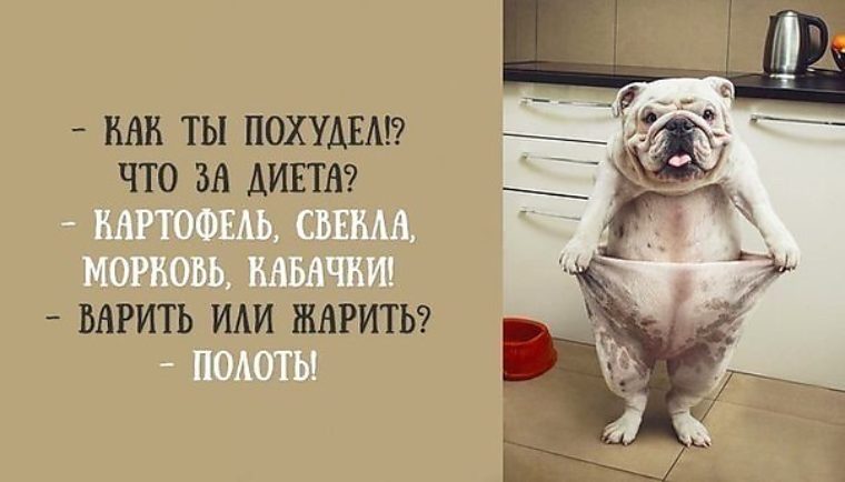 https://p2.tabor.ru/feed/2016-07-03/10524520/93068_760x500.jpg