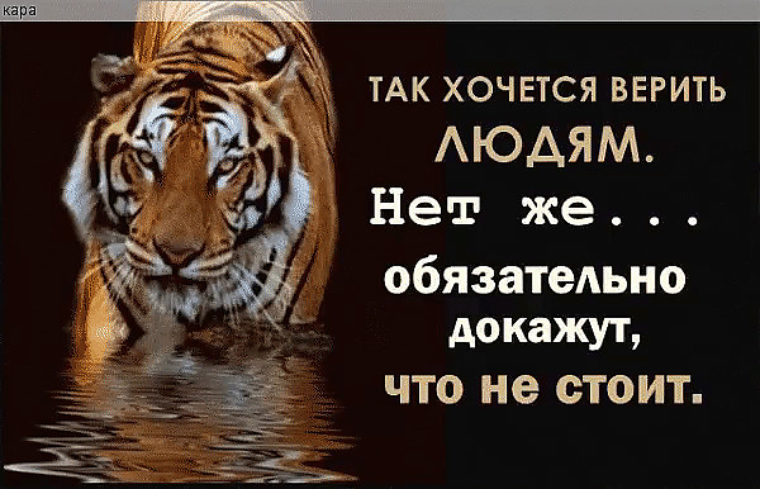 Хочется поверить. Так хочется верить людям нет же. Хочется верить людям. Хочется верить людям но обязательно докажут что не стоит. Так хочется верить людям нет же обязательно докажут.