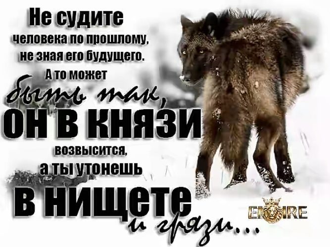 Не суди и несудим будешь картинки