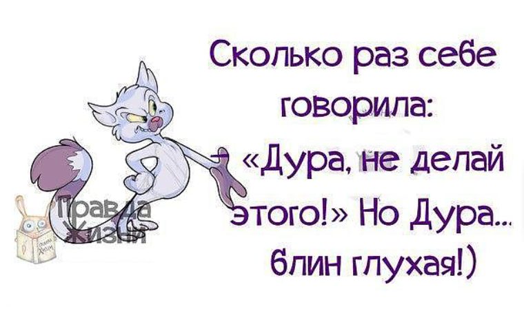 Вот я дура картинки