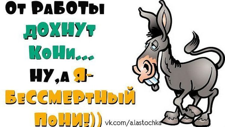 Работать версия. От работы дохнут кони. От работы дохнут кони ну а я Бессмертный Пон. Бессмертный пони. От работы дохнут кони прикольные.