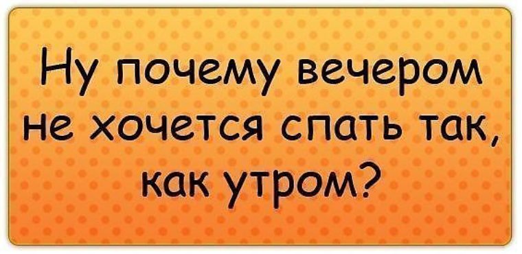 Почему вечером передайте. Почему вечером хочется есть. Я очень мудрая то умудрюсь то намудрю в картинках.