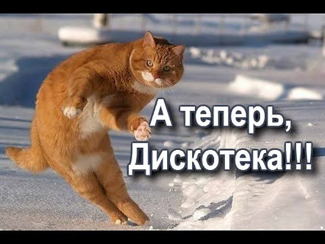 Картинка с надписью танцуют все