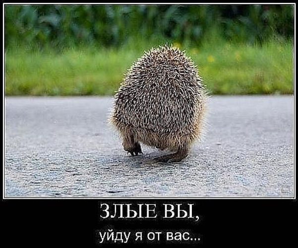 Я ушла картинки прикольные