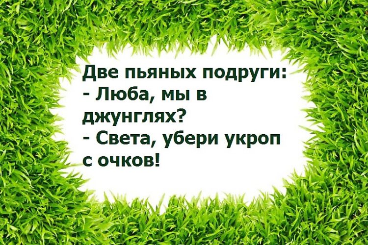 Убери любой. Убери укроп с очков. Две пьяных подруги: - Люба, мы в джунглях? - Света, убери укроп с очков!. Люба мы в джунглях света убери укроп с очков. Две пьяные подруги убери укроп с очков.