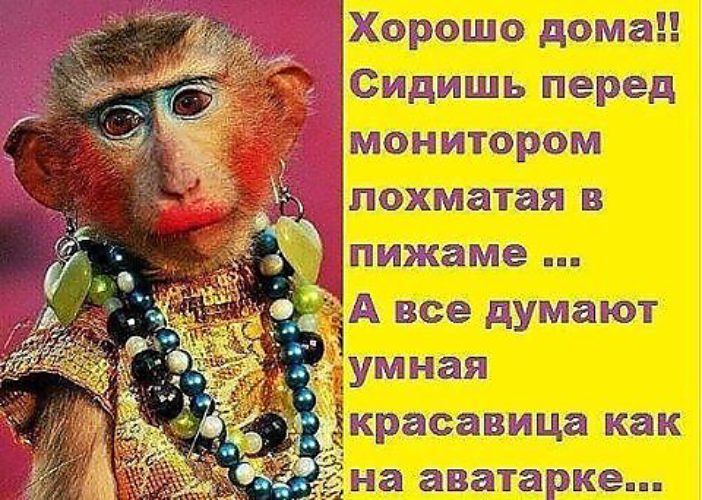 Сидеть Высоко Картинки