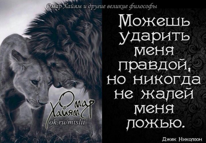 Пожалей меня. Можешь ударить меня правдой но никогда не жалей меня ложью. Ударь меня правдой но никогда. Мудрые и сильные слова про ложь и правду с картинкой Льва. Омар Хайям никогда не иди назад.