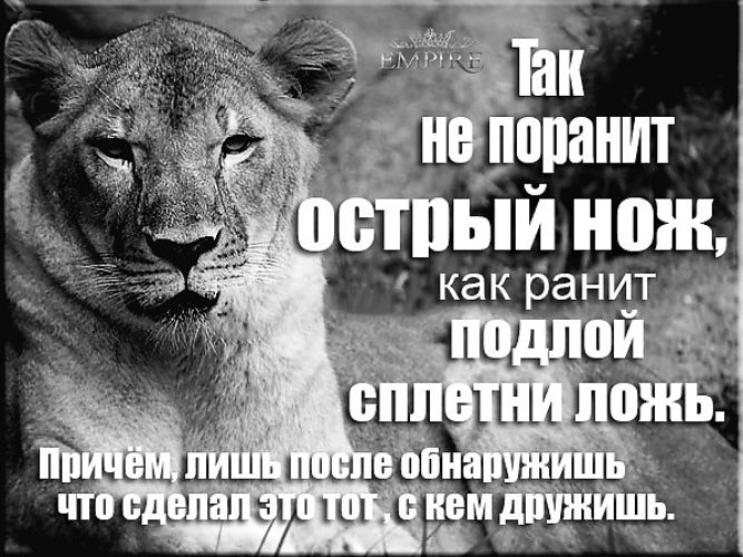 Ранит или ранят. Слова ранят. Слова ранят сильнее. Слово может ранить человека. Ранить словом цитаты.