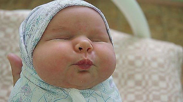 Картинка тимофей втяни щеки