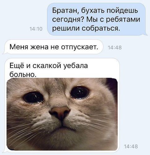 Скачай это бесплатное Фото на тему Не пущу мем и открой