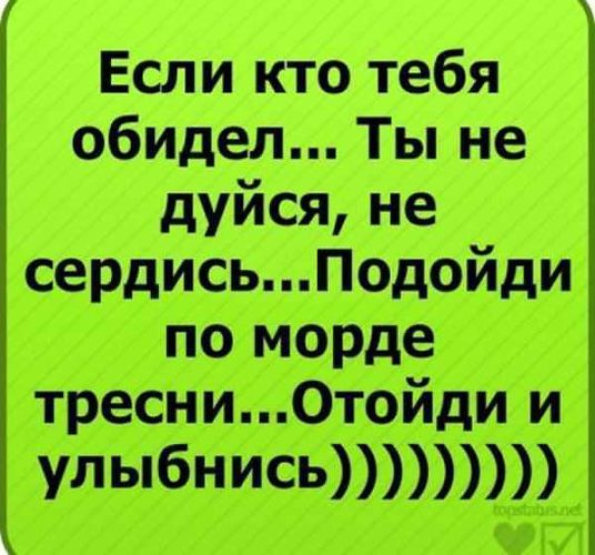 Смешные надписи на картинках в вк, картинки
