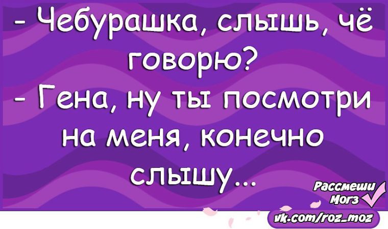 Анекдот про чебурашку и гену в туалете