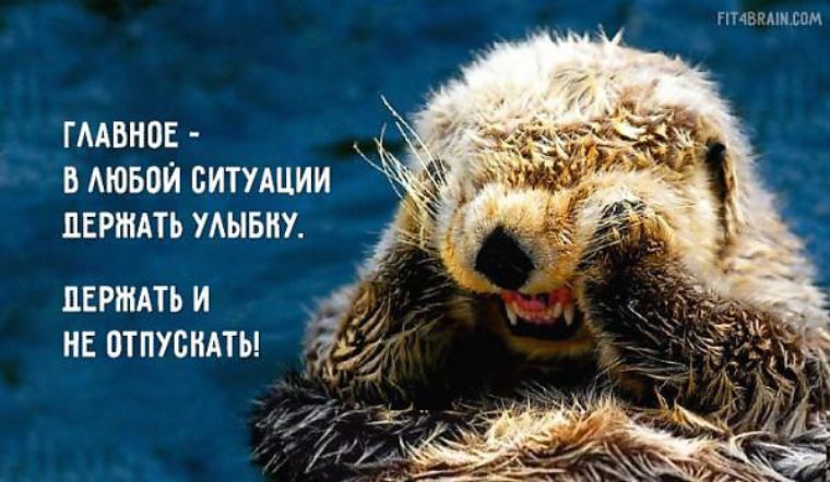 Совет дня с юмором. Любой главный. Оставаться человеком в любой ситуации. Любой главный. Любой главный.