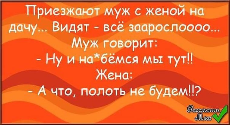 Жена тут. Муж приехал. Приезжают муж с женой на дачу,. Хорошо муж приедет. Слово жена с дачей.